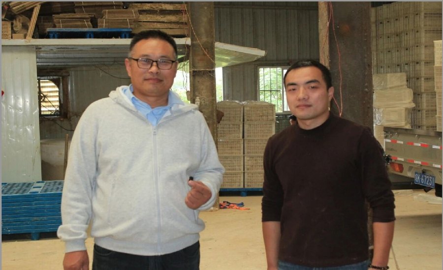 Fromagerie d'œufs Liu Pei, Yushang Chunqiao